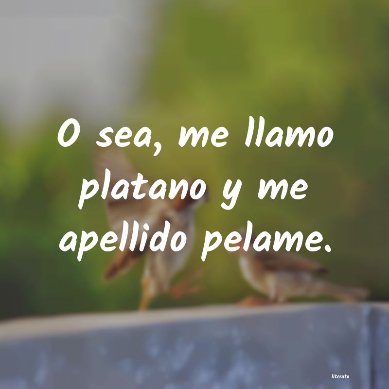 frases