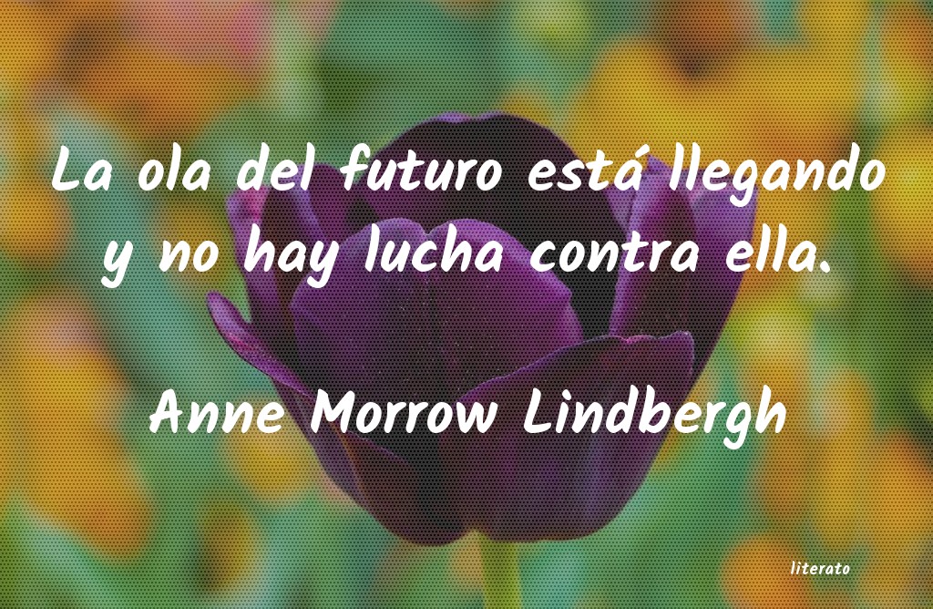 Frases de Anne Morrow Lindbergh