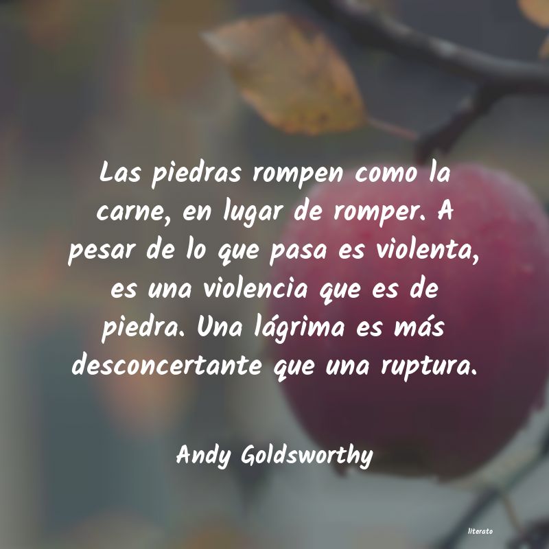 frases de Andy Goldsworthy