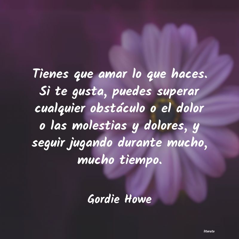 Frases de Gordie Howe