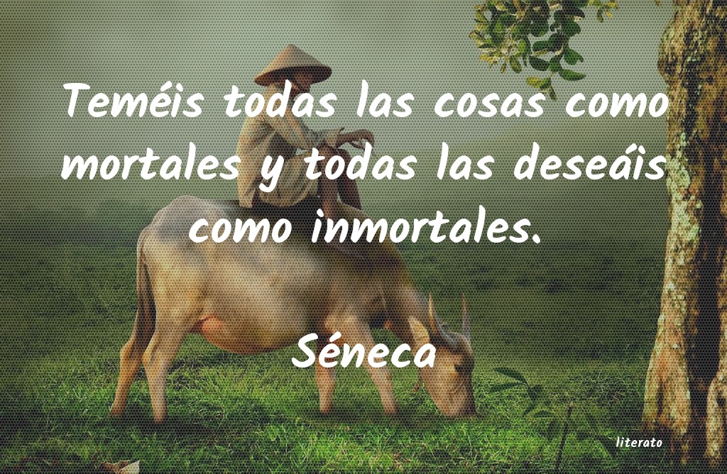 frases de SÃ©neca