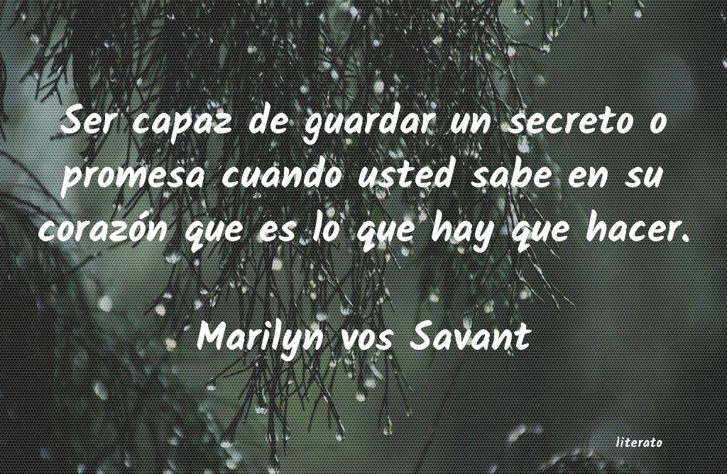 Frases de Marilyn vos Savant