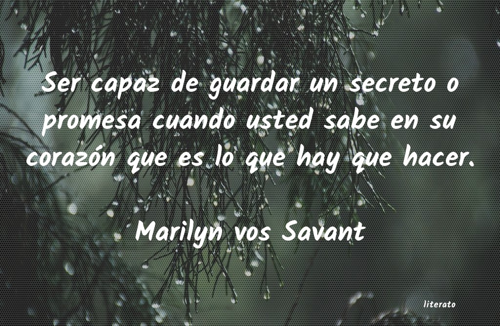 frases de Marilyn vos Savant