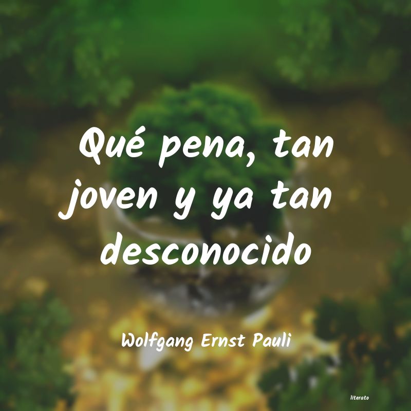 Frases de Wolfgang Ernst Pauli