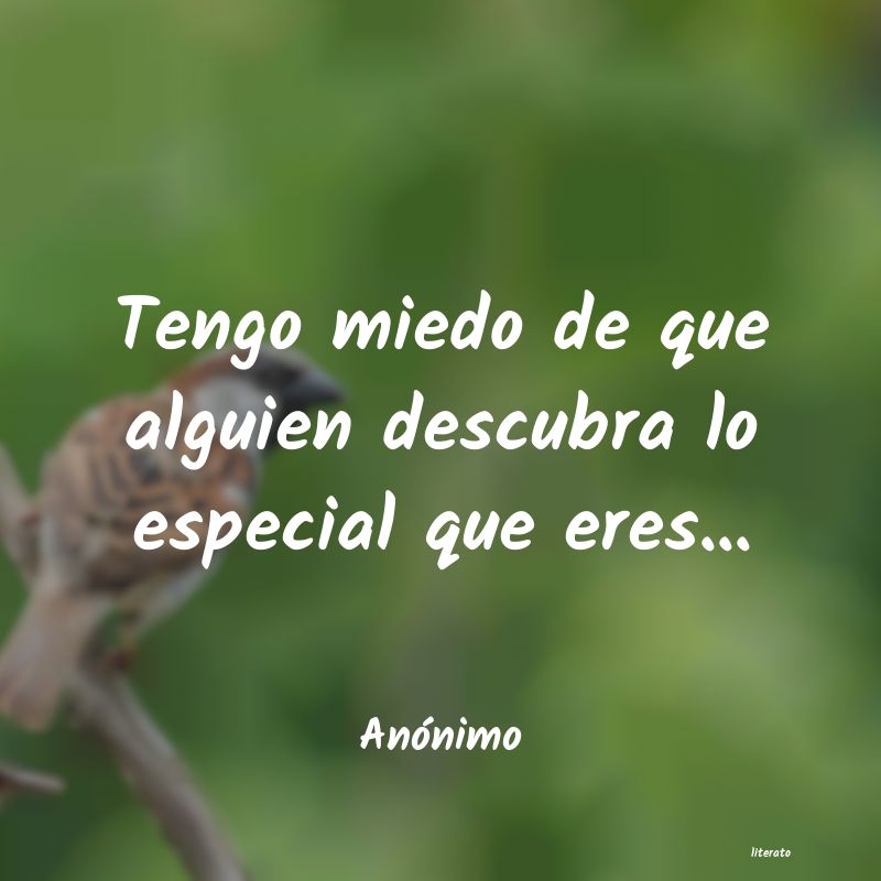 frases de sentimientos