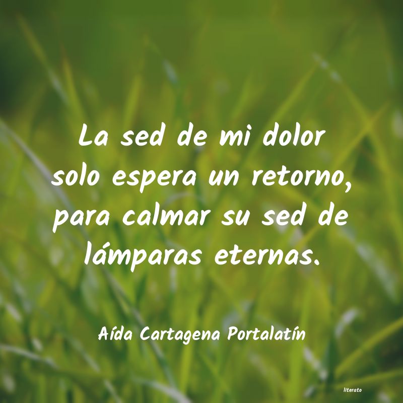 frases de AÃda Cartagena PortalatÃn