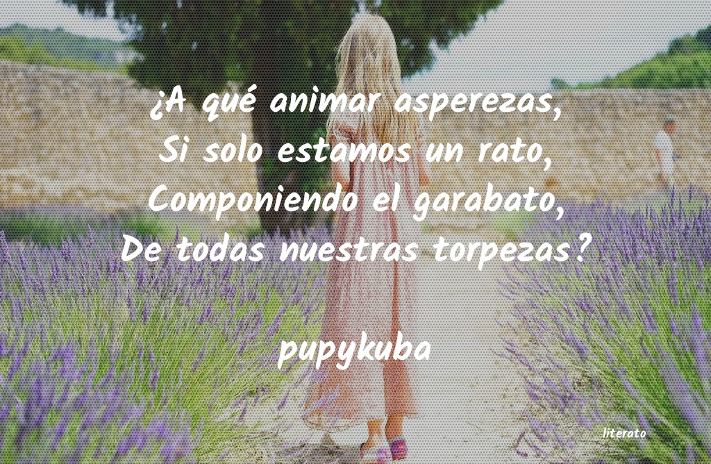 Frases de pupykuba