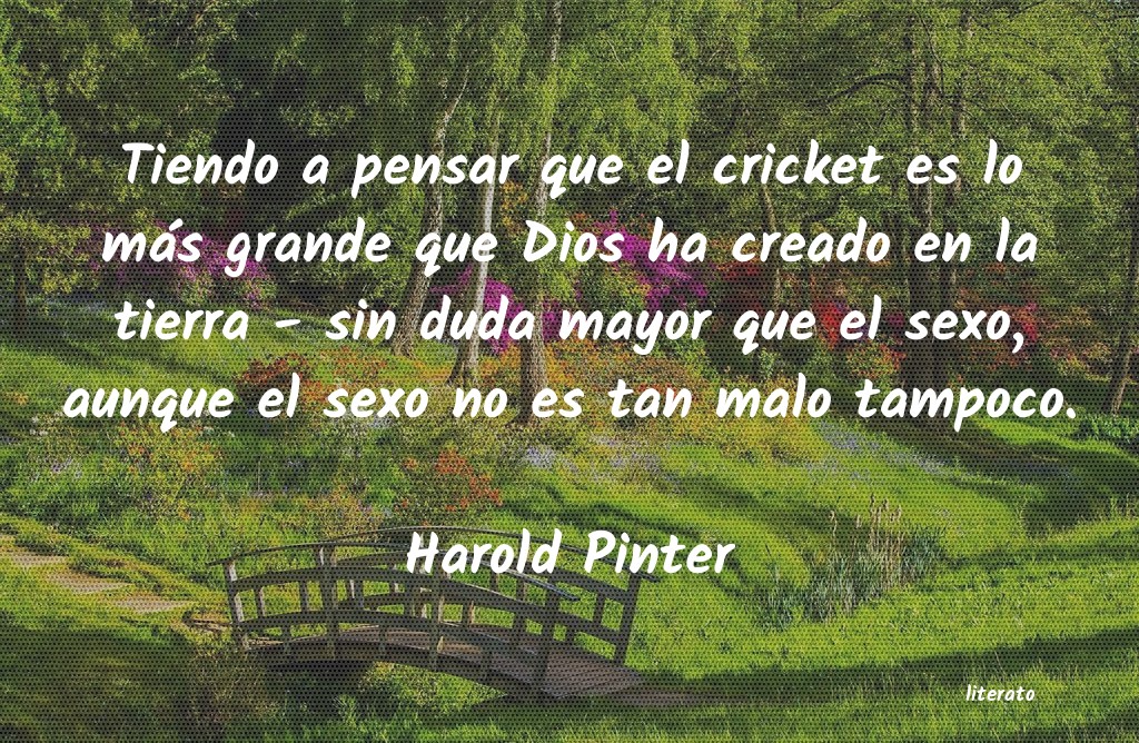 Frases de Harold Pinter