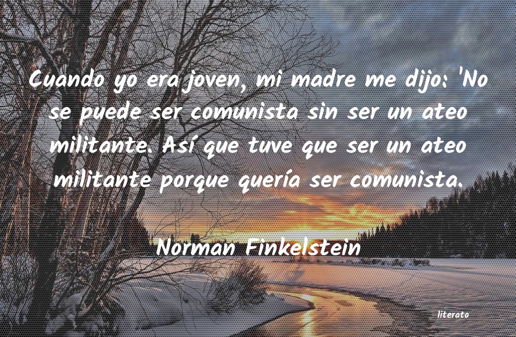 Frases de Norman Finkelstein