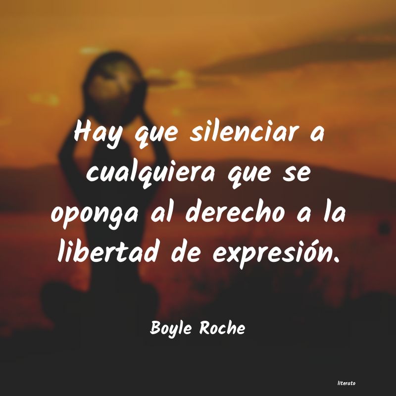 frases de Boyle Roche