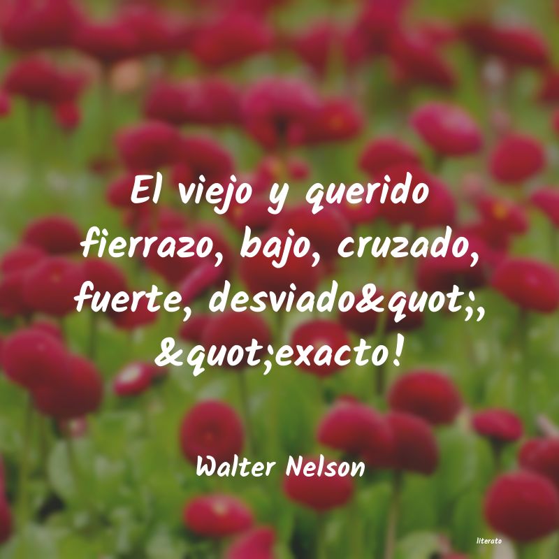 frases de Walter Nelson