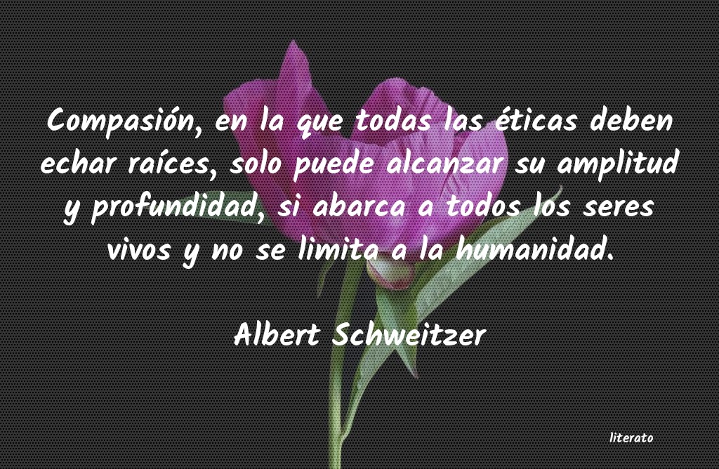 Frases de Albert Schweitzer