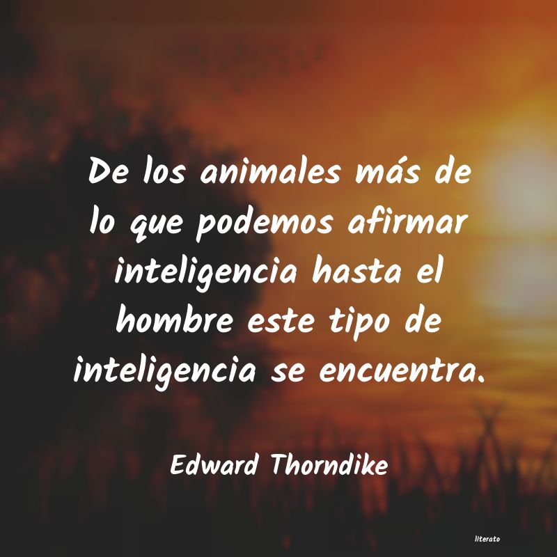 frases de Edward Thorndike