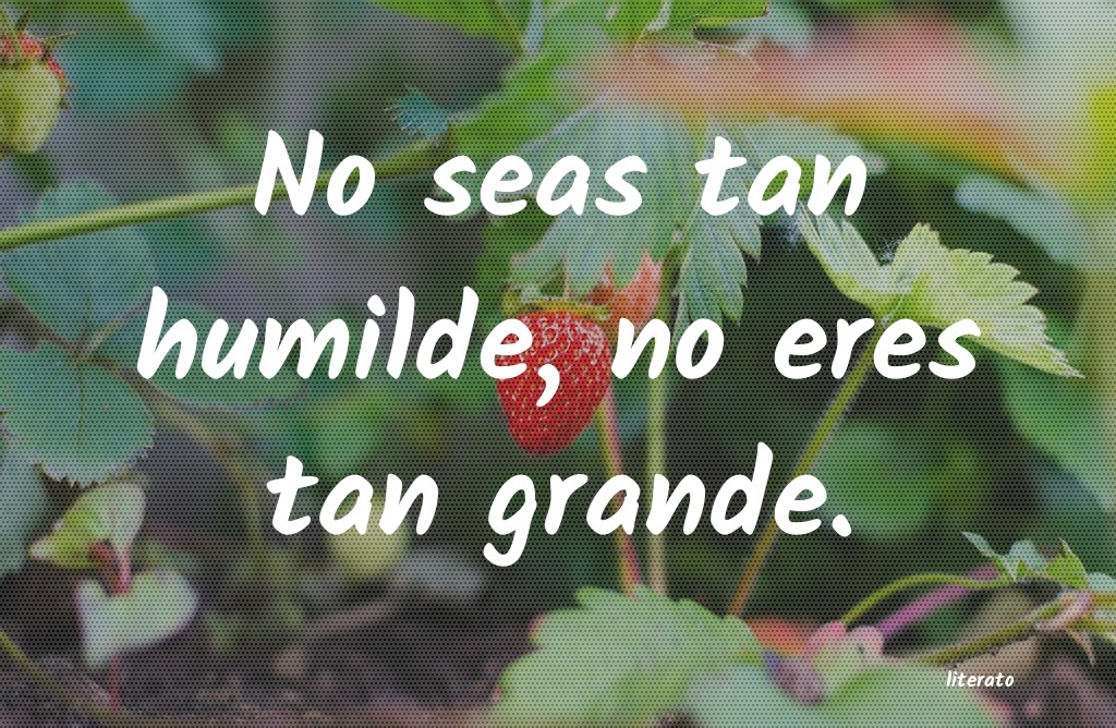 frases