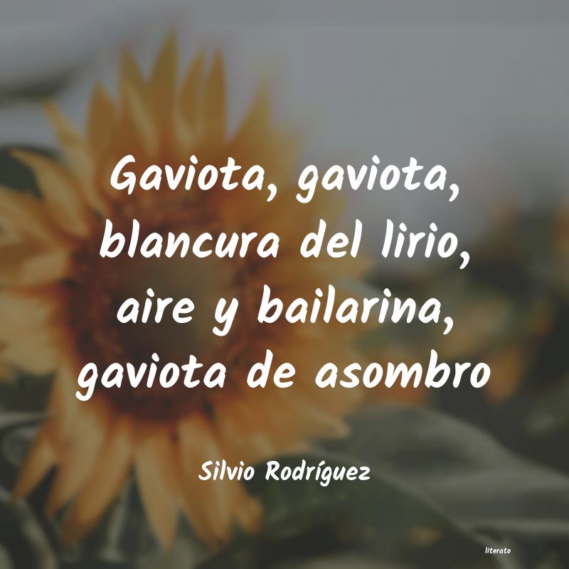 frases de Silvio RodrÃguez