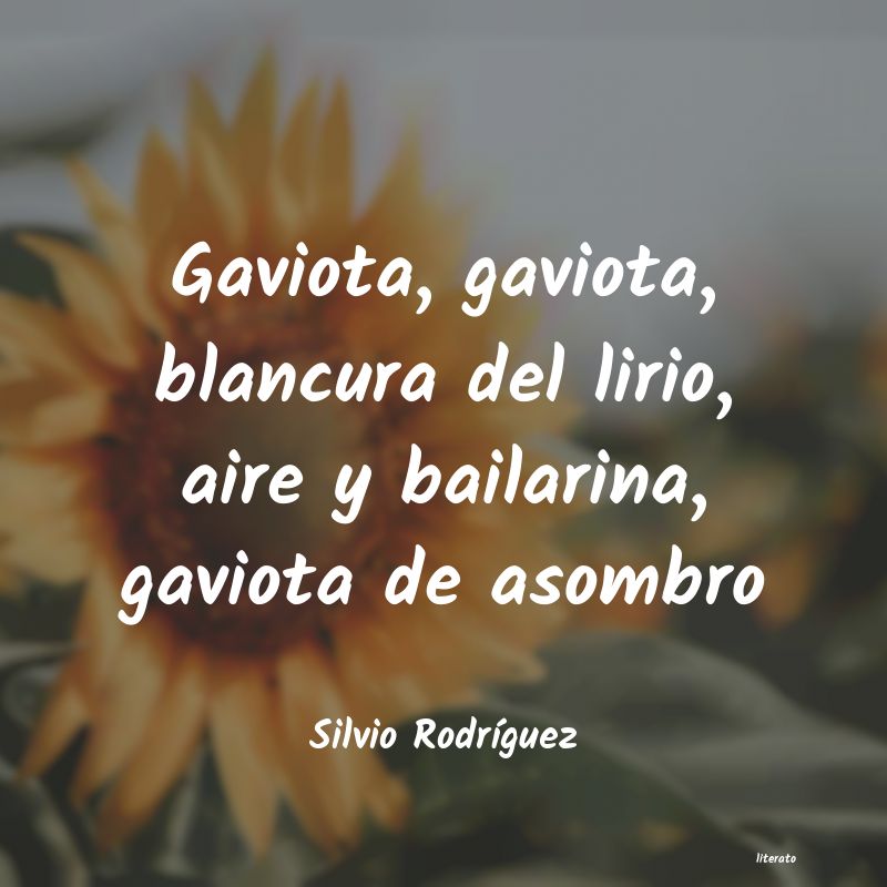 Frases de Silvio Rodríguez