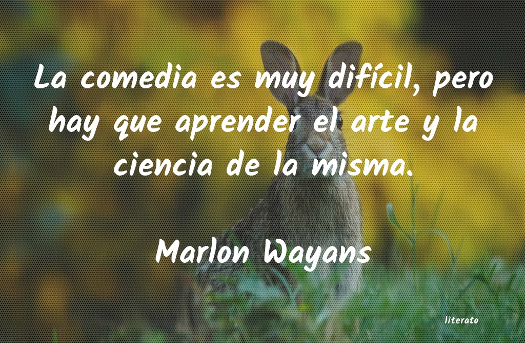 frases de Marlon Wayans