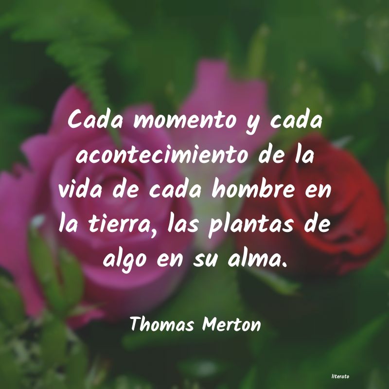 Frases de Thomas Merton