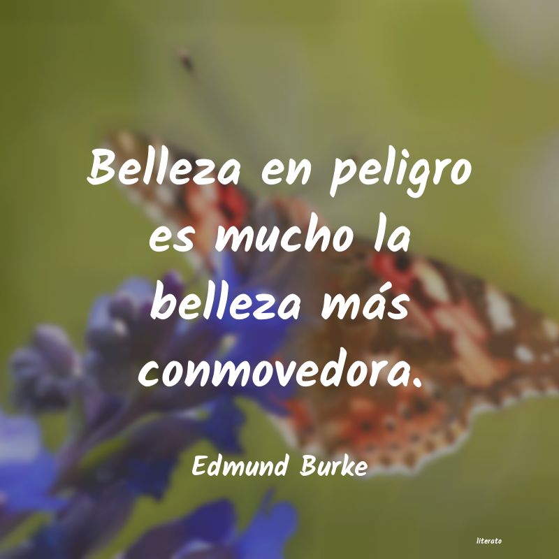 Frases de Edmund Burke