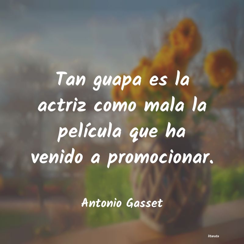 frases de Antonio Gasset