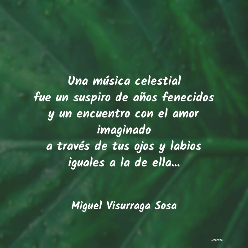 frases de Miguel Visurraga Sosa