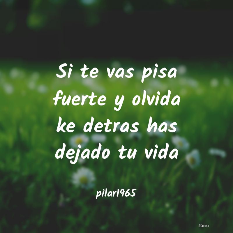 Frases de pilar1965