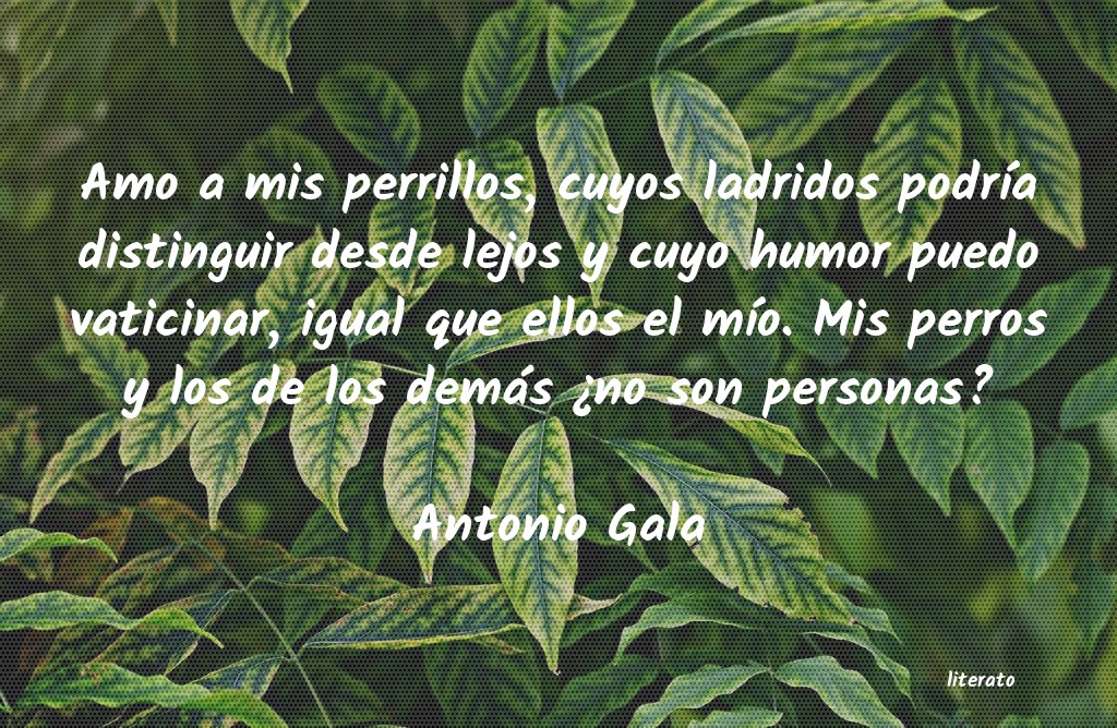 frases de Antonio Gala