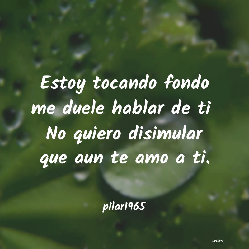 frases de pilar1965