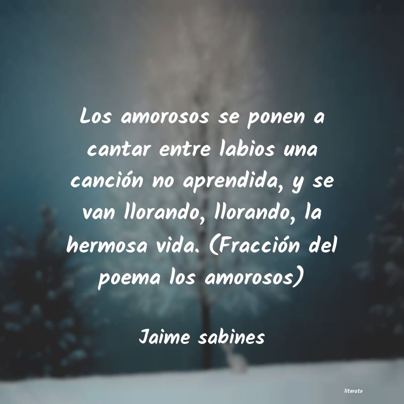 Frases de Jaime sabines