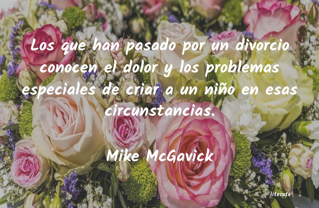 frases de Mike McGavick