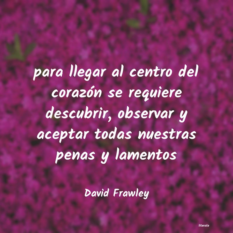Frases de David Frawley