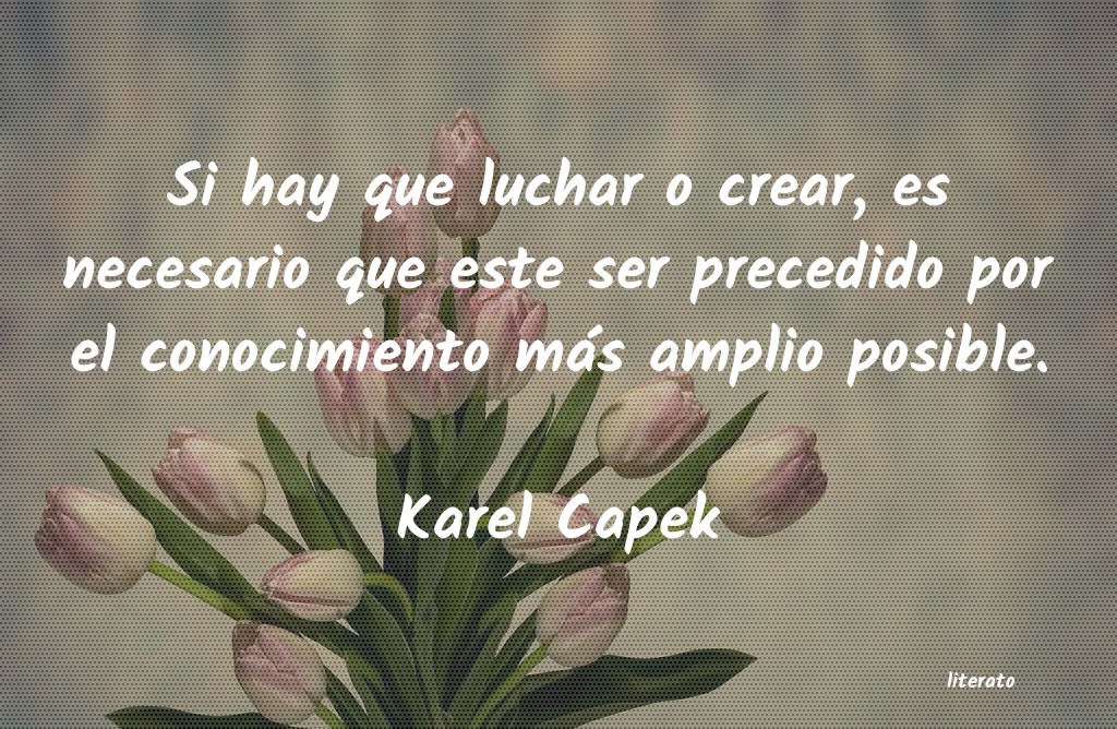 Frases de Karel Capek