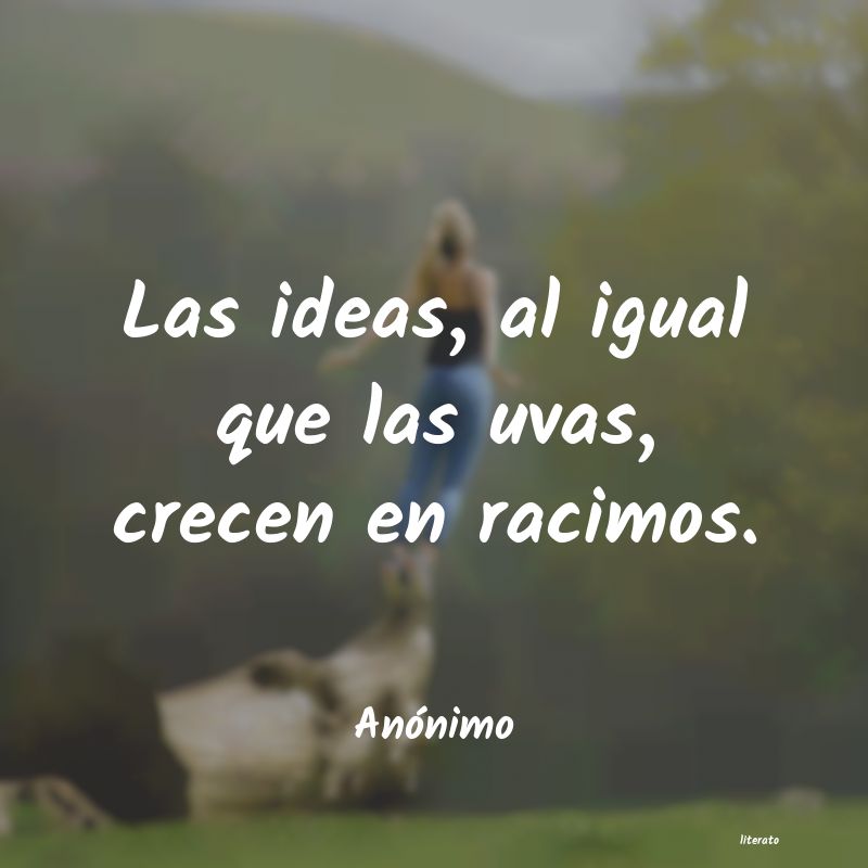 frases
