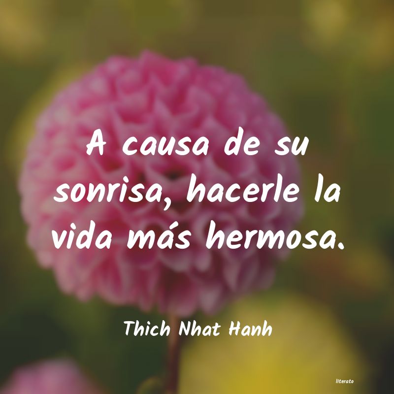 Frases de Thich Nhat Hanh