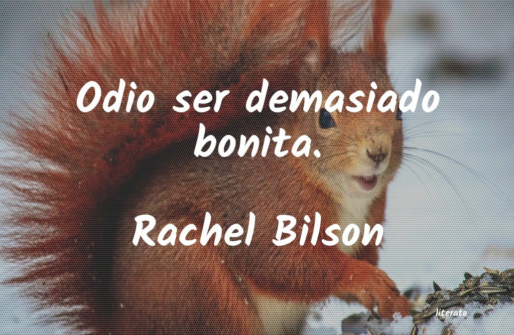 frases de Rachel Bilson