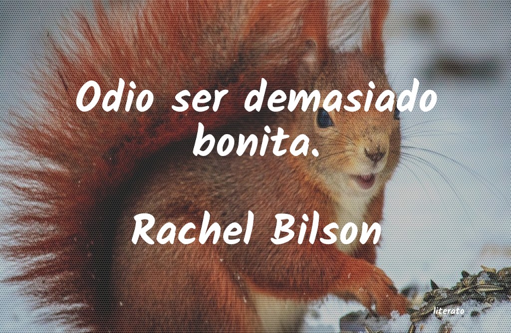 Frases de Rachel Bilson