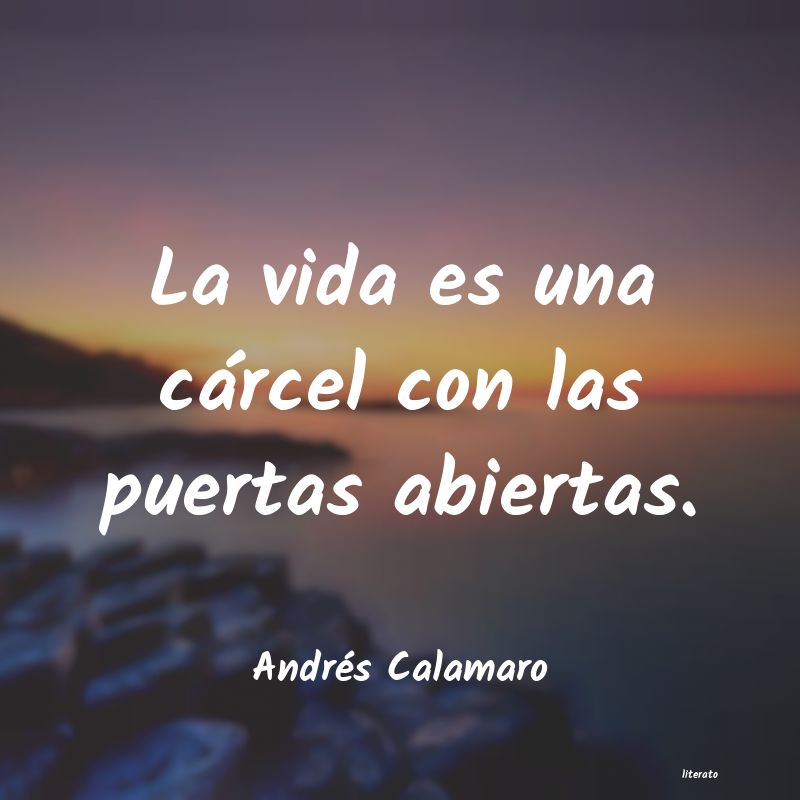 Frases de Andrés Calamaro