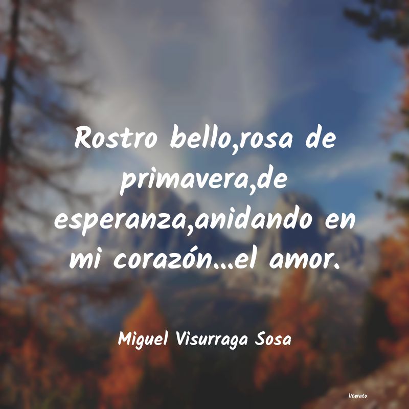 frases de Miguel Visurraga Sosa