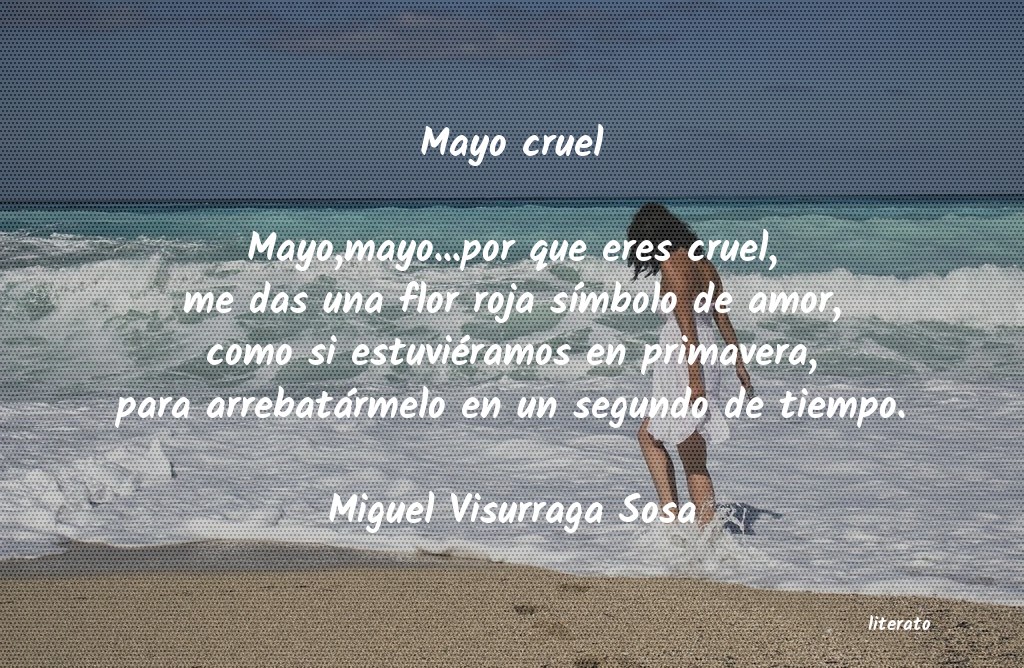 frases de Miguel Visurraga Sosa