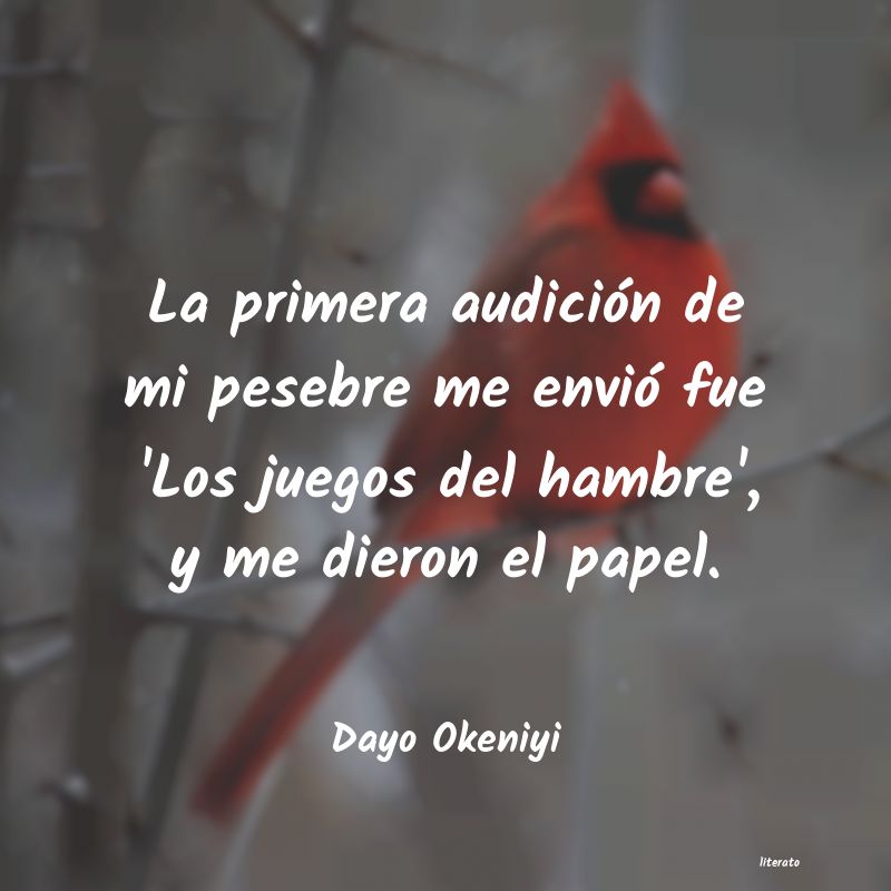 Frases de Dayo Okeniyi