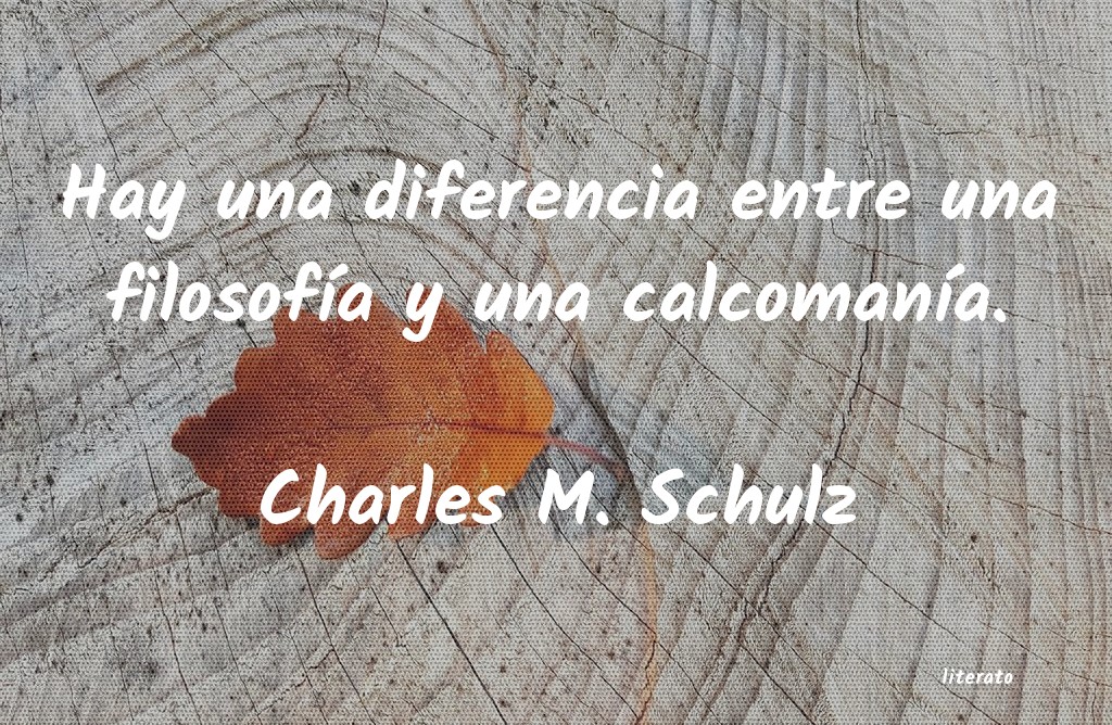 frases de Charles M. Schulz