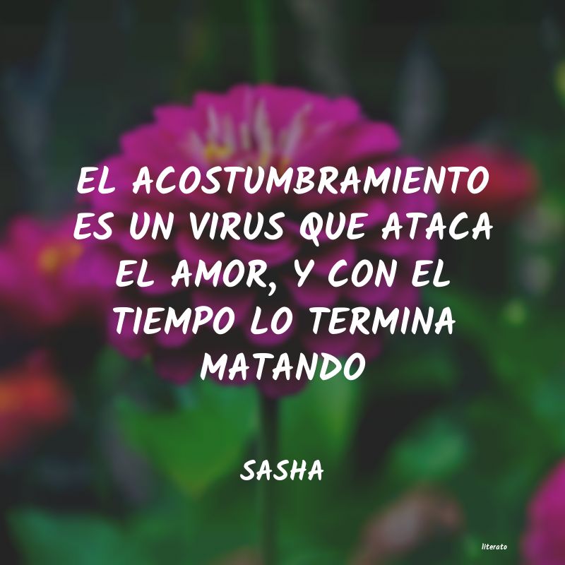 Frases de SASHA