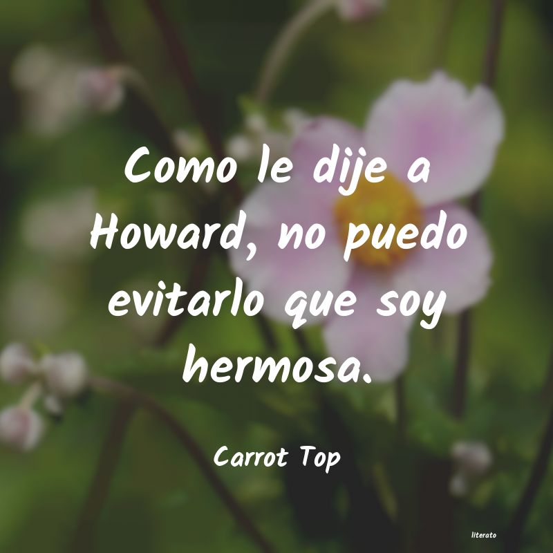 Frases de Carrot Top