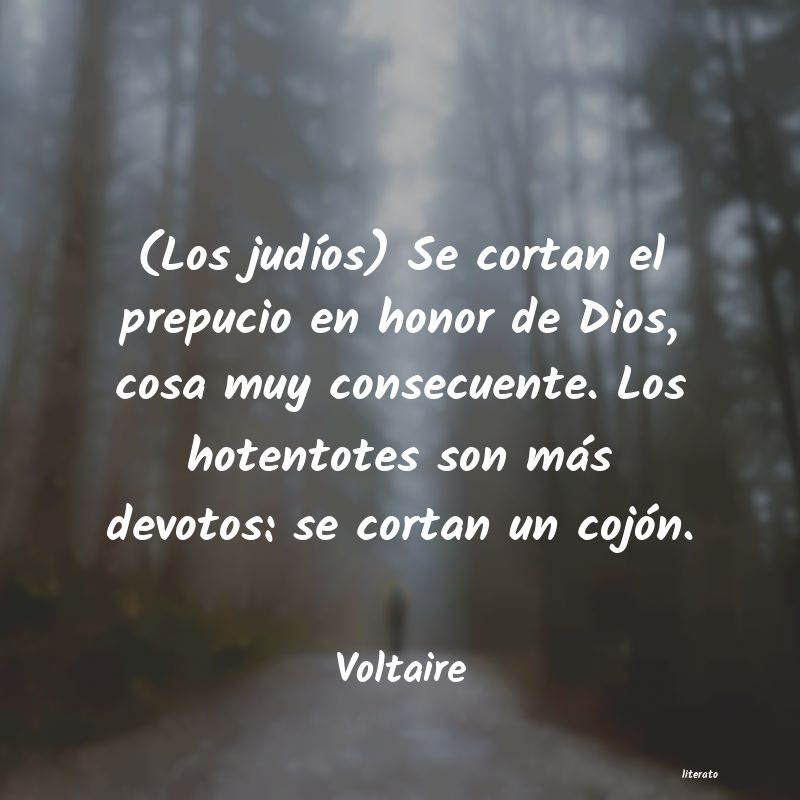 Frases de Voltaire