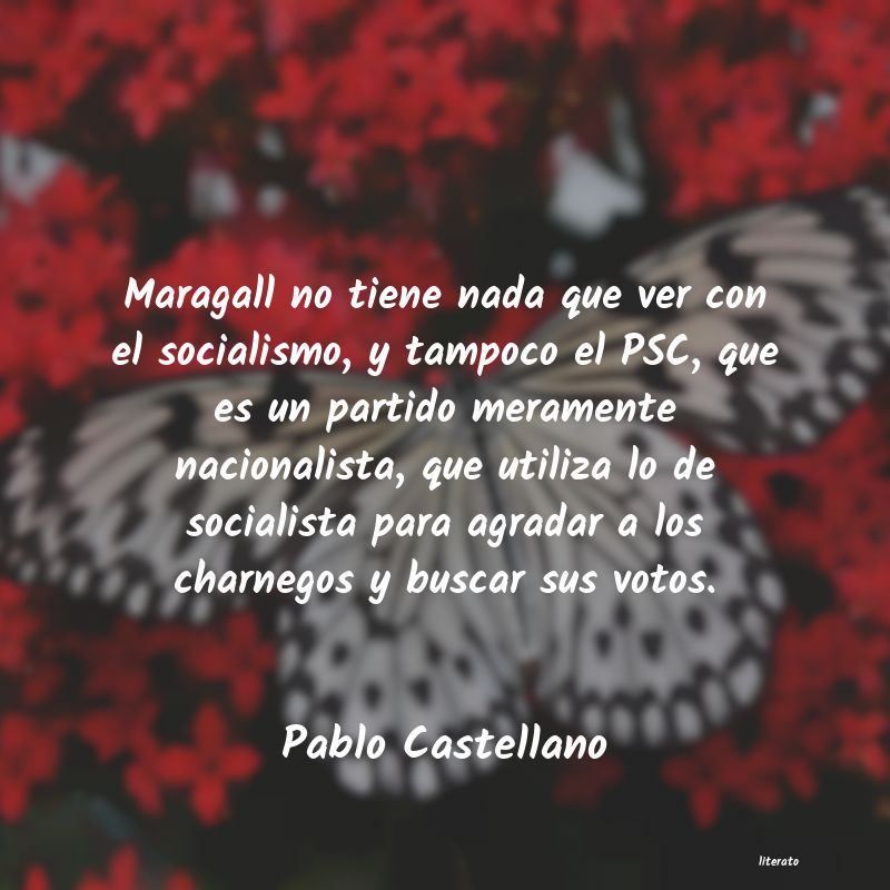 frases de Pablo Castellano
