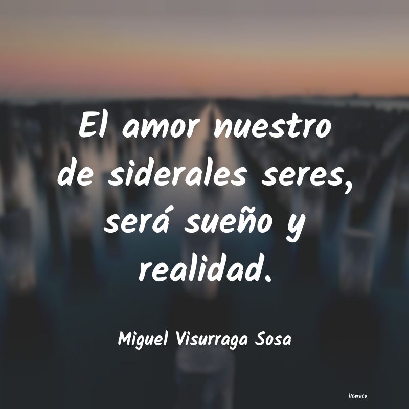 Frases de Miguel Visurraga Sosa