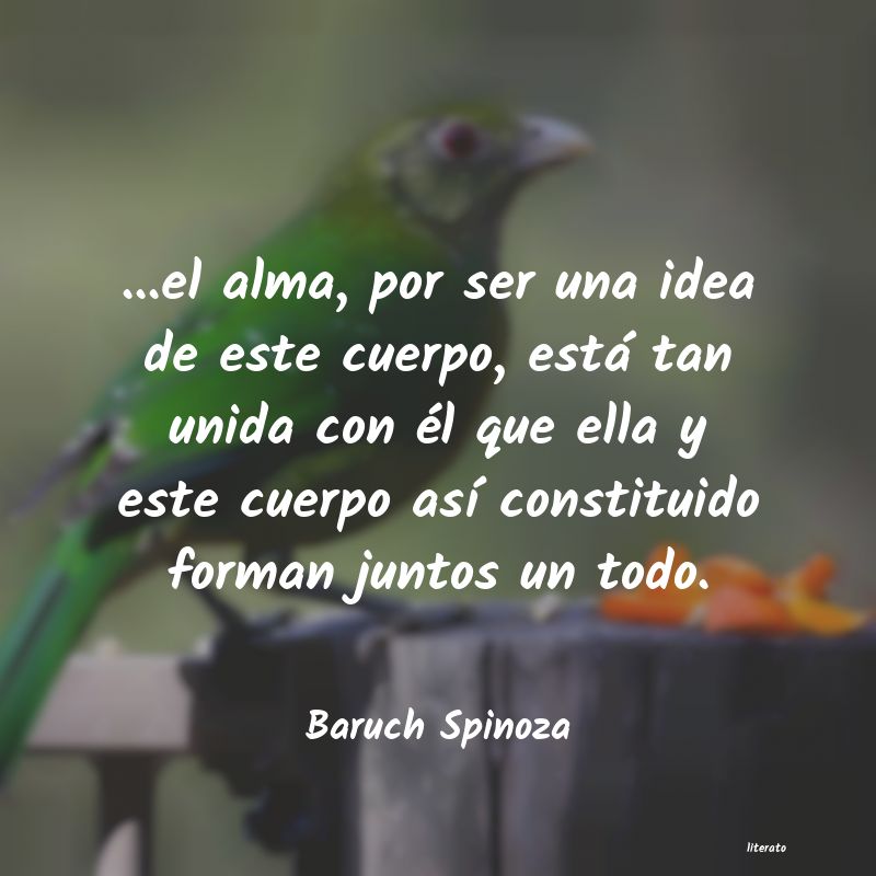 Frases de Baruch Spinoza