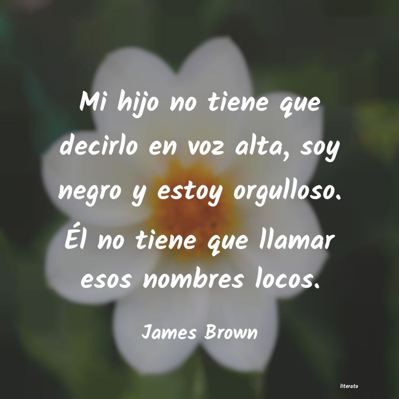 Frases de James Brown