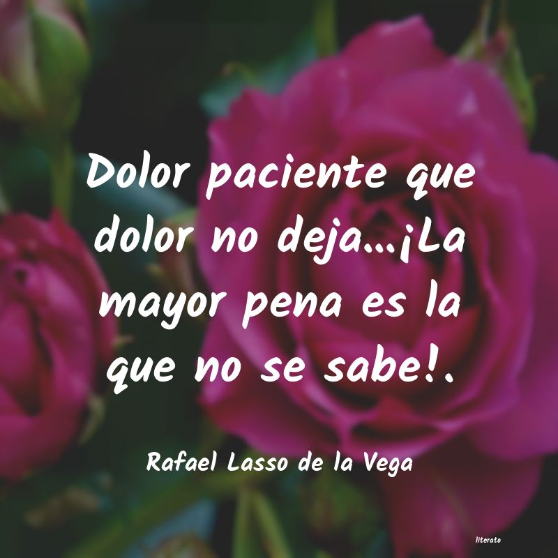 frases de Rafael Lasso de la Vega