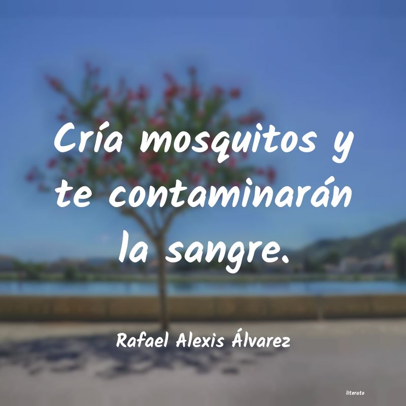 frases de Rafael Alexis Ãlvarez